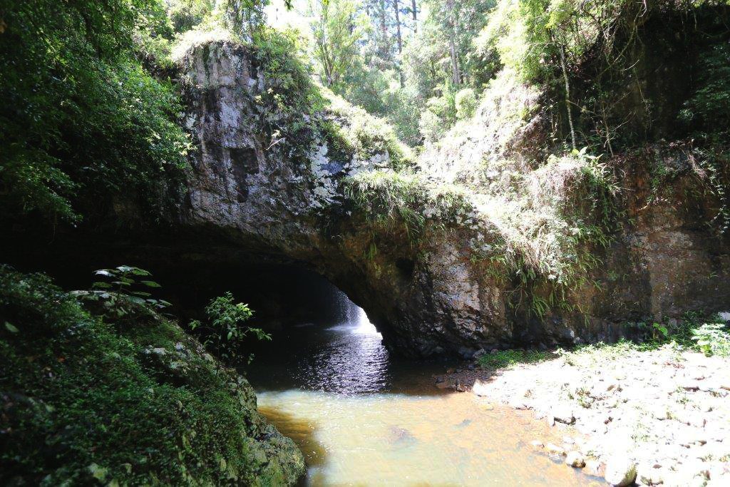 First View of the Natural Bridge in Springbrook National Park, Queensland