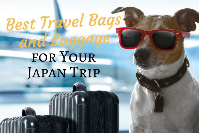 Best Travel Bags and Luggage for Your Japan Trip