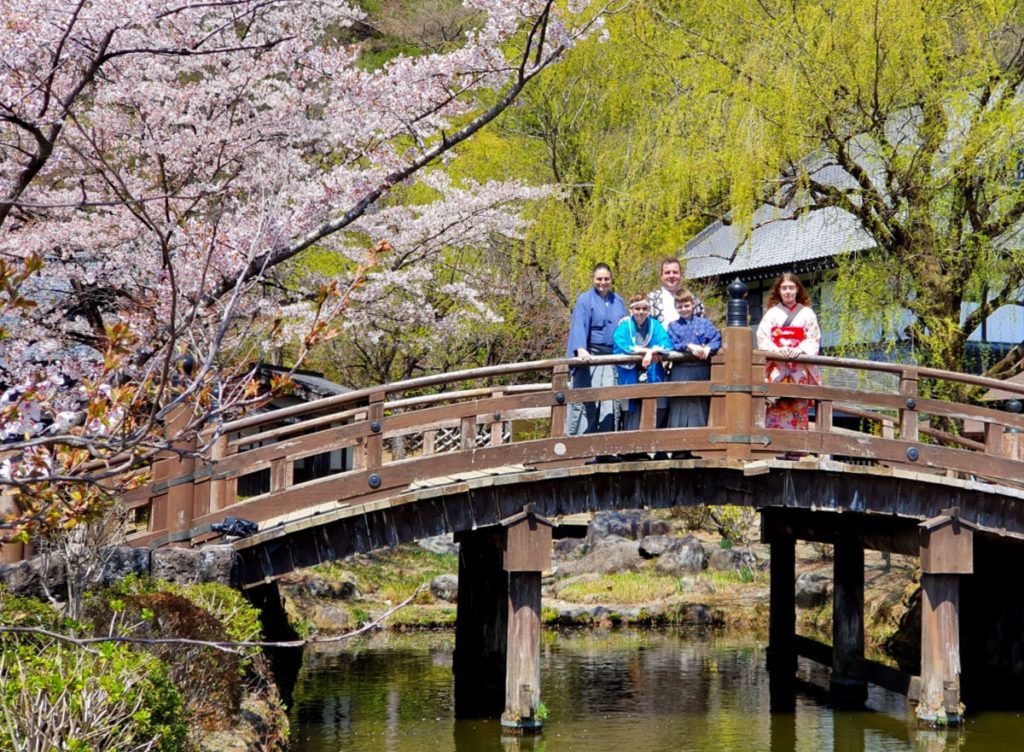 Cherry Blossom Views at Edo Wonderland in Nikko