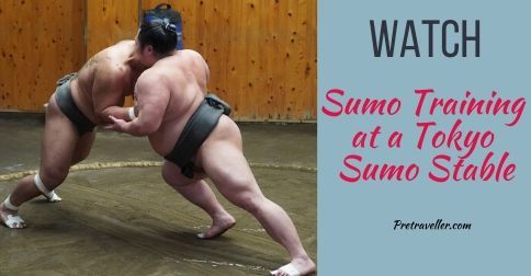 Sumo Training Tokyo