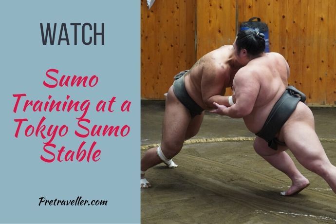 Sumo Training Tokyo