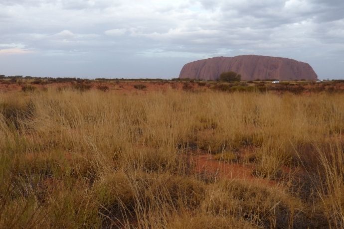 Views of Uluru