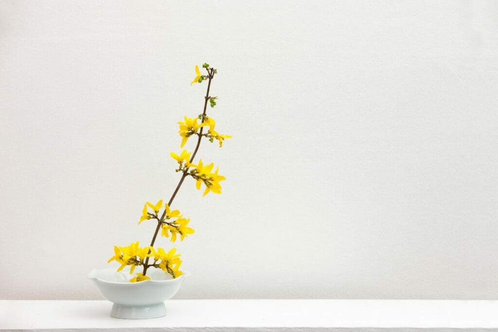 Ikebana Flower Arrangement
